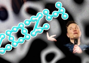 This was the year Elon Musk dominated the political landscape.